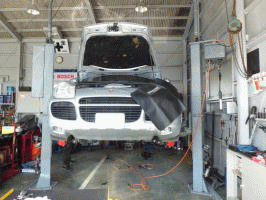 �����������������C���[�W